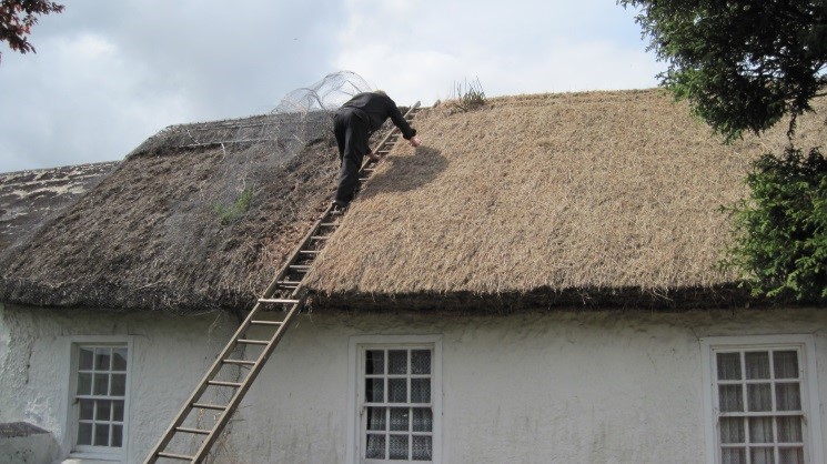 Cottage on Bluestone Road